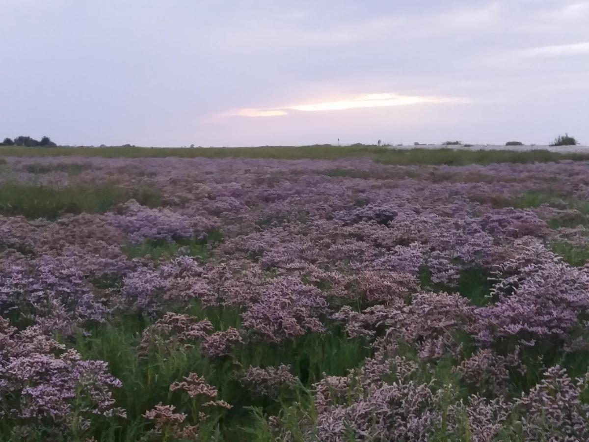 Gites "Aux Charmes De La Baie" Labellises 3 Clevacances Avec Parking Et Terrain Clos Buigny-Saint-Maclou Esterno foto