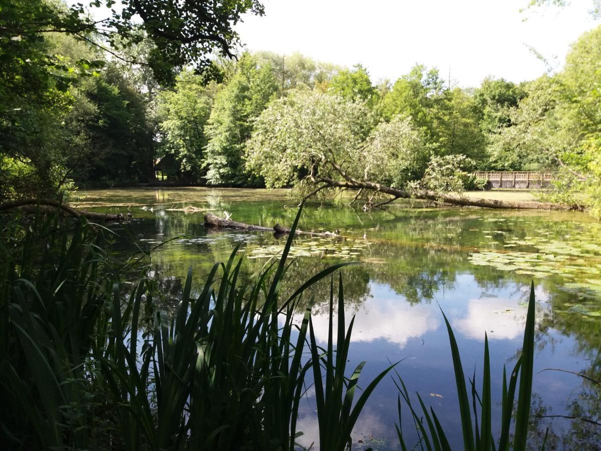 Gites "Aux Charmes De La Baie" Labellises 3 Clevacances Avec Parking Et Terrain Clos Buigny-Saint-Maclou Esterno foto